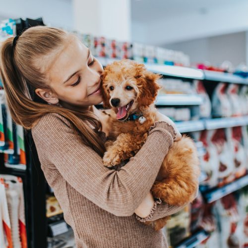 Cute girl with her poodle puppy in pet shop.