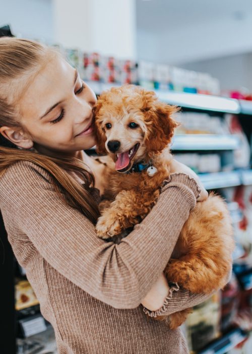 Cute girl with her poodle puppy in pet shop.